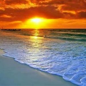 Meet your Posher, Dorys